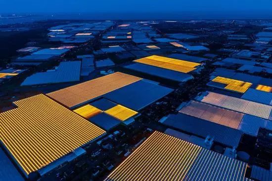 为什么荷兰的农业特色小镇这么有声有色?