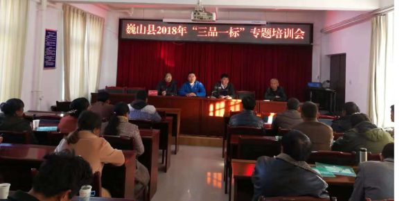 1543822391256842.png 图片1.png