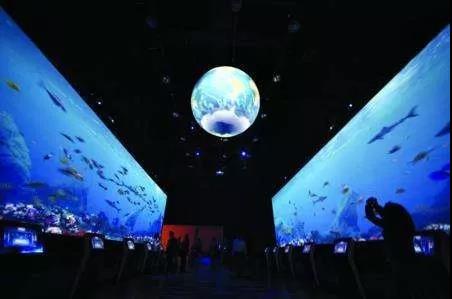 1566980484485015.jpg 2.jpg