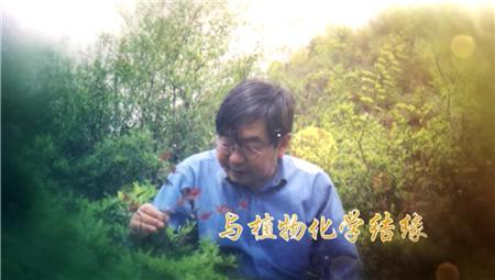 1574998930252827.jpg 1.jpg