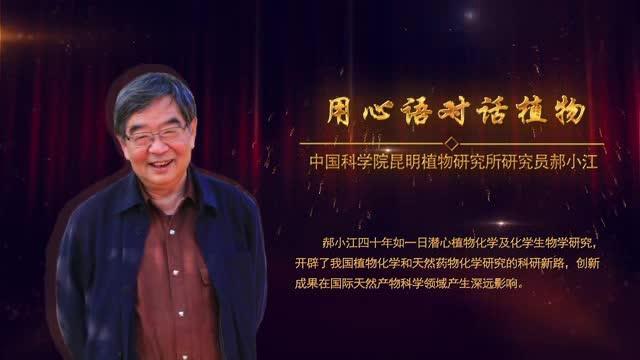 1574999086622043.jpg 2.jpg